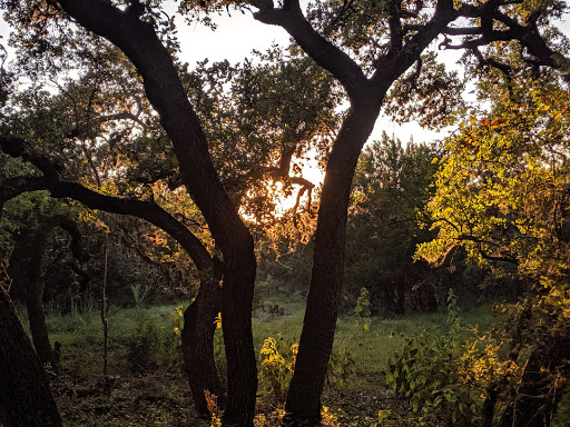 Phil Hardberger Park - Dog park