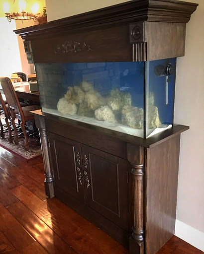 Tropical Fish Store «Hooked On Reefs», reviews and photos, 228 Hibiscus St #1, Jupiter, FL 33458, USA