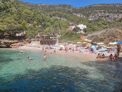 Photo de Bacva Beach avec petite baie