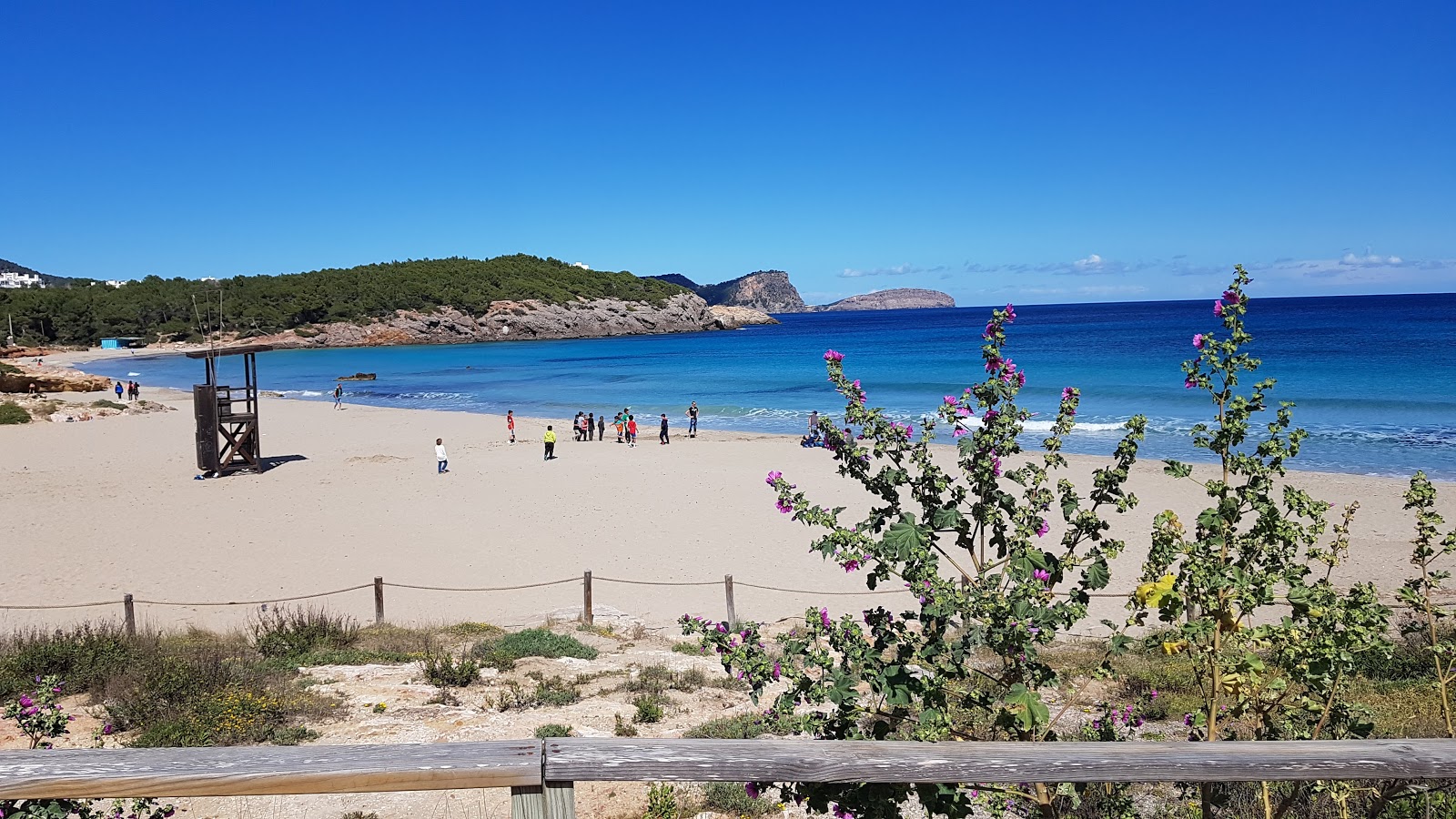 Cala Nova Beach'in fotoğrafı - rahatlamayı sevenler arasında popüler bir yer