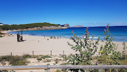 Cala Nova Beach'in fotoğrafı - rahatlamayı sevenler arasında popüler bir yer