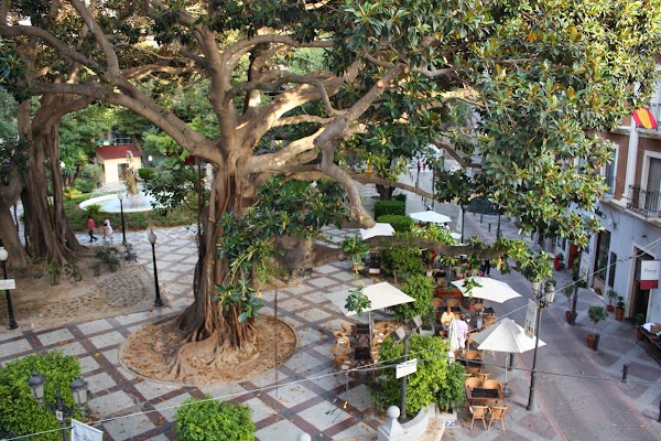 Asesoria Ficoser Alicante