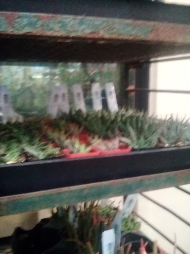 Garden Center «Sloat Garden Center», reviews and photos, 1555 Kirker Pass Rd, Concord, CA 94521, USA