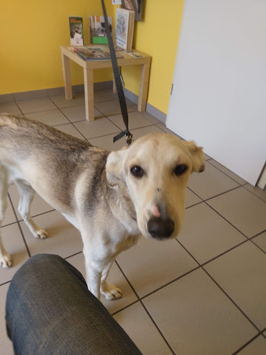 Kleintierpraxis Seelze - Dr. Claudia Bremer unter Seelze, Niedersachsen