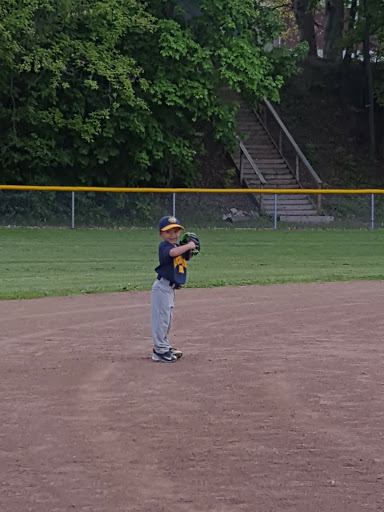 Historical Landmark «Mabel Hartzell Home», reviews and photos, 840 N Park Ave, Alliance, OH 44601, USA