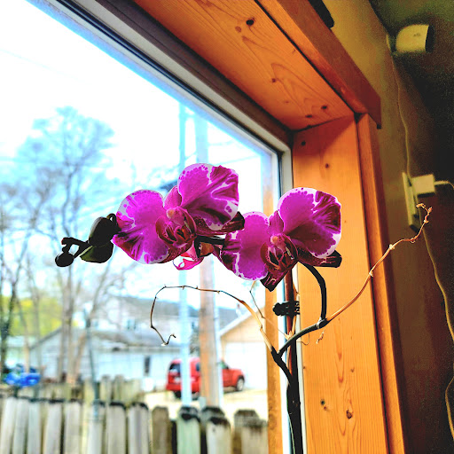 Explore simple unicorn tattoo ideas, creative tattoo ideas in Traverse City, available at Pinups & Needles