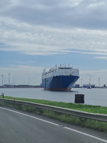 Wallenius Wilhelmsen Solutions Zeebrugge - Brugge