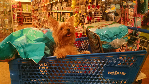 Pet Supply Store «PetSmart», reviews and photos, 1742 E 3rd St, Williamsport, PA 17701, USA