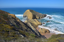 Praia das Costas do Lajao'in fotoğrafı vahşi alan