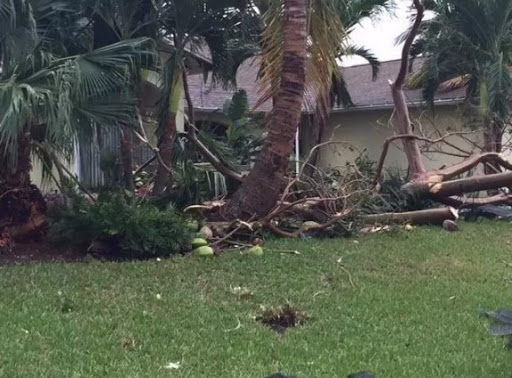 Insurance Agency «Allstate Insurance Agent: Edwin Pickett», reviews and photos