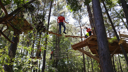 Go Ape Zipline & Adventure Park