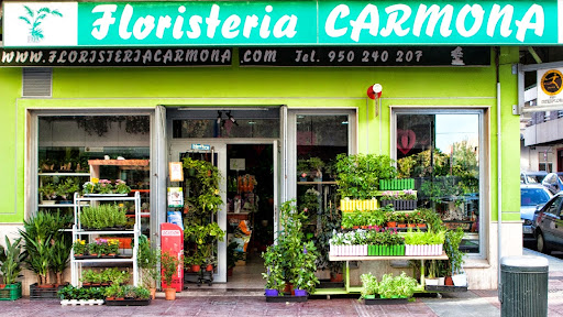 Floristería Carmona Calzada en Almería, Almería