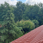 Photo n°9 de l'avis de Bettina.a fait le 14/08/2022 à 09:15 sur le  Haus am See à Bernburg