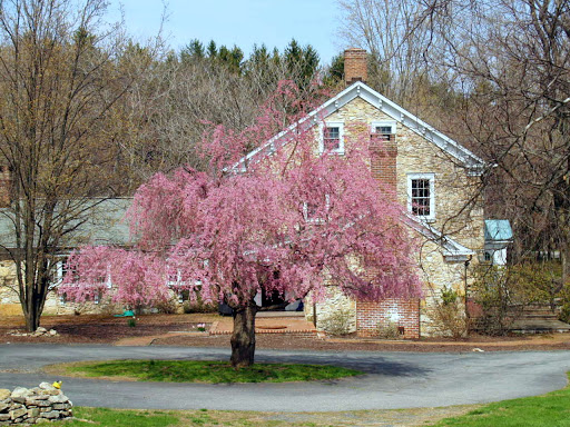 Mortgage Lender «Freedom Mortgage», reviews and photos