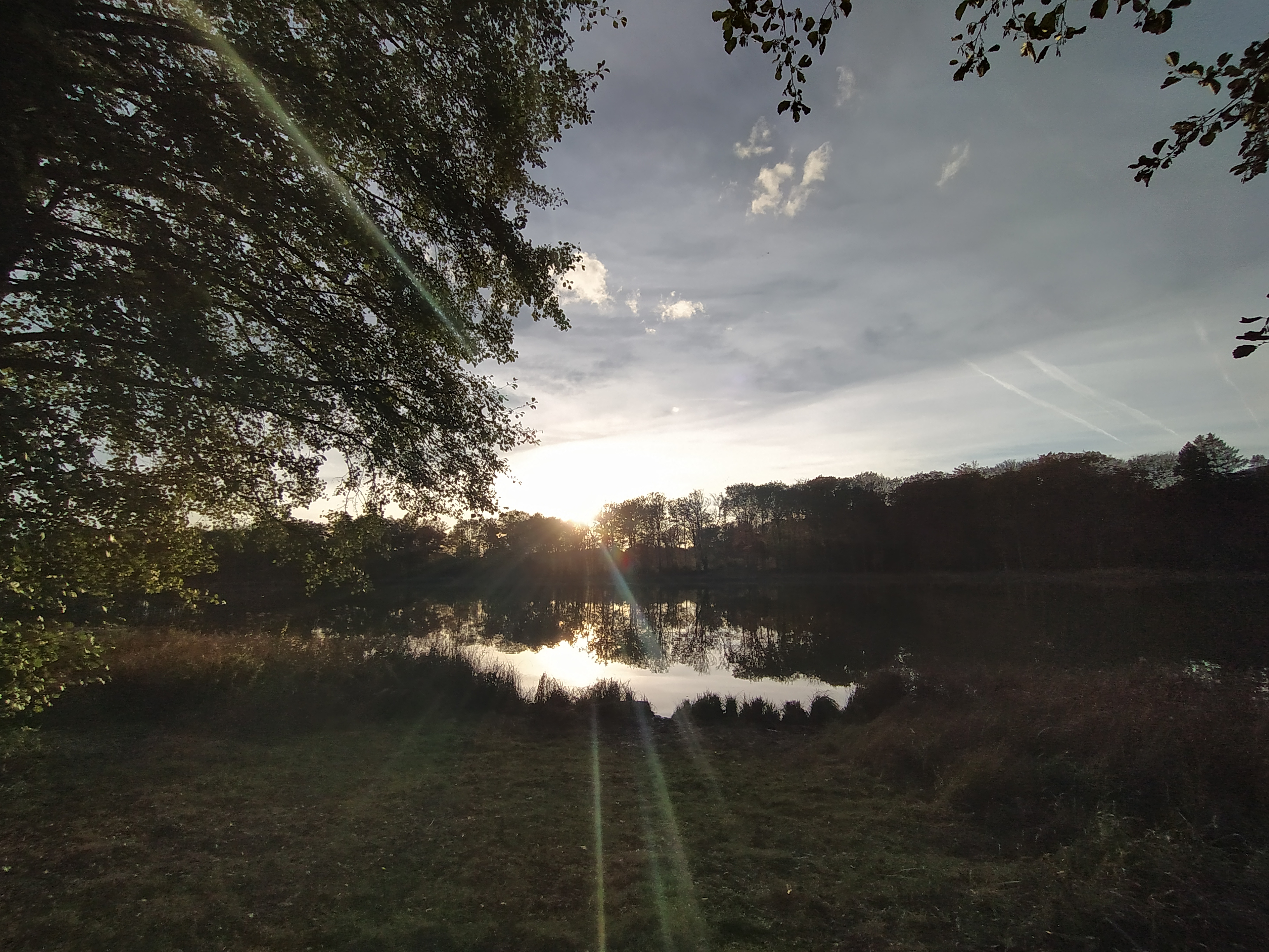 Photo n° 4 de l'avis de Nathalie.a fait le 31/10/2021 à 17:28