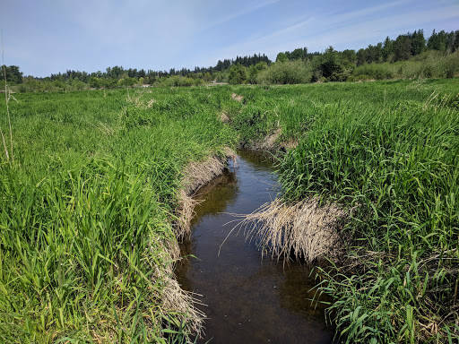 Park «N. Creek Park», reviews and photos, 1011 183rd St SE, Bothell, WA 98012, USA