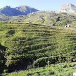 Photo n°19 de l'avis de Lorenzo.o fait le 30/07/2021 à 12:02 sur le  Bar Ristorante Vulpot Di Bruno Ileana à Usseglio