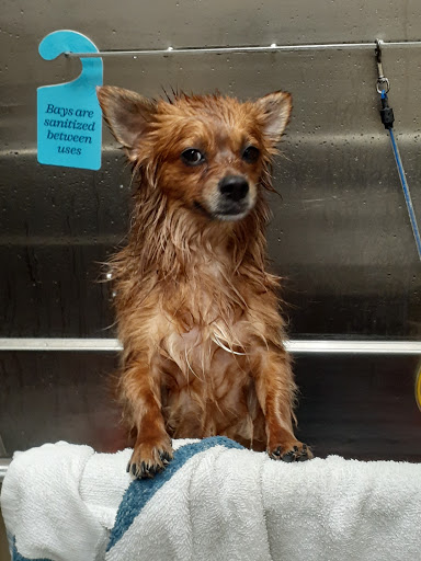 Pet Supply Store «Chow Hound Pet Supplies», reviews and photos, 660 Chicago Dr, Holland, MI 49423, USA