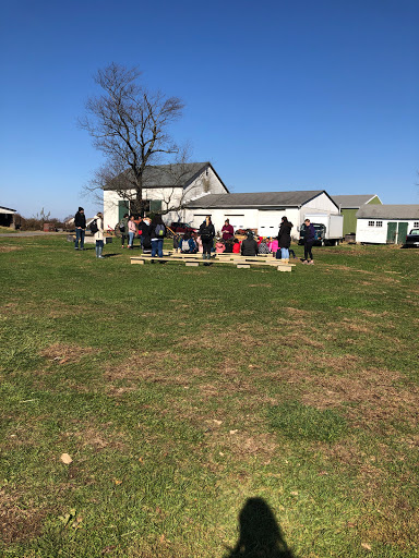 Produce Market «Solly Brothers», reviews and photos, 707 Almshouse Rd, Warminster, PA 18974, USA