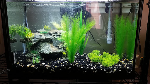 Pet Supply Store «PetSmart», reviews and photos, 421 Commerce Dr, Victor, NY 14564, USA