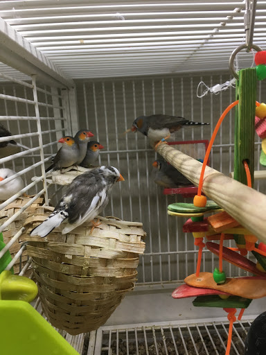 Pet Supply Store «Pet Supplies Plus», reviews and photos, 2223 Concord Pike, Wilmington, DE 19803, USA