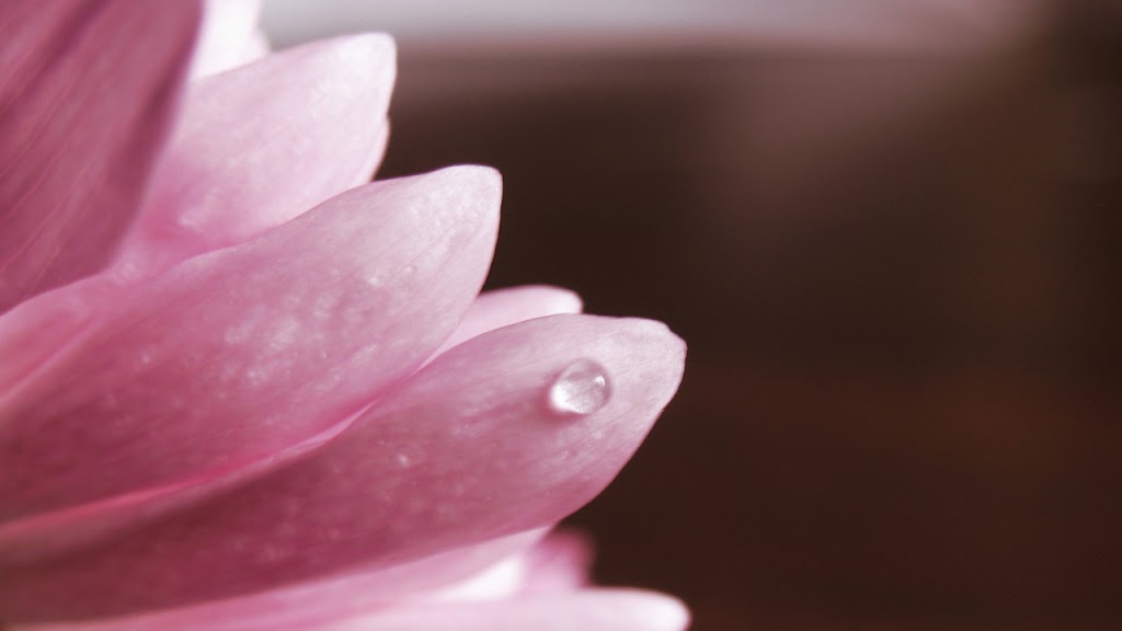 Kiora Nail Spa 08053