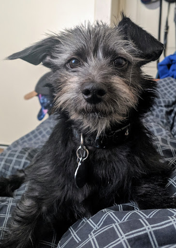 Pet Supply Store «Petco Animal Supplies», reviews and photos, 1090 Fort Union Blvd, Midvale, UT 84047, USA