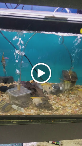 Pet Supply Store «Petland Discounts», reviews and photos, 144 E 98th St, Brooklyn, NY 11212, USA