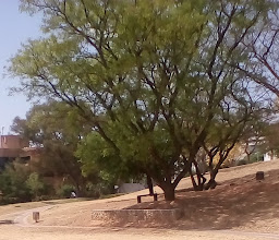 Sandton Central Park photo