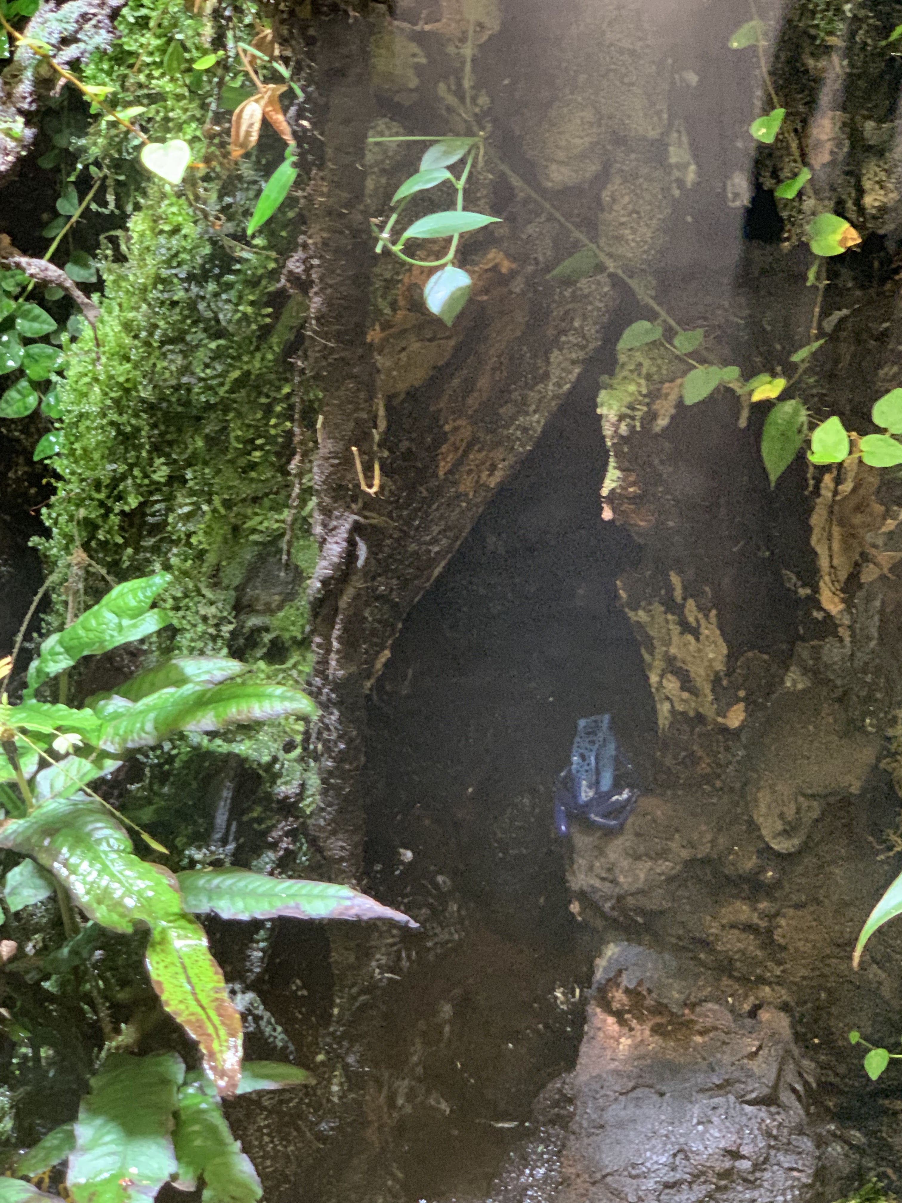 Photo n° 32 de l'avis de Angie. fait le 15/05/2019 à 11:27