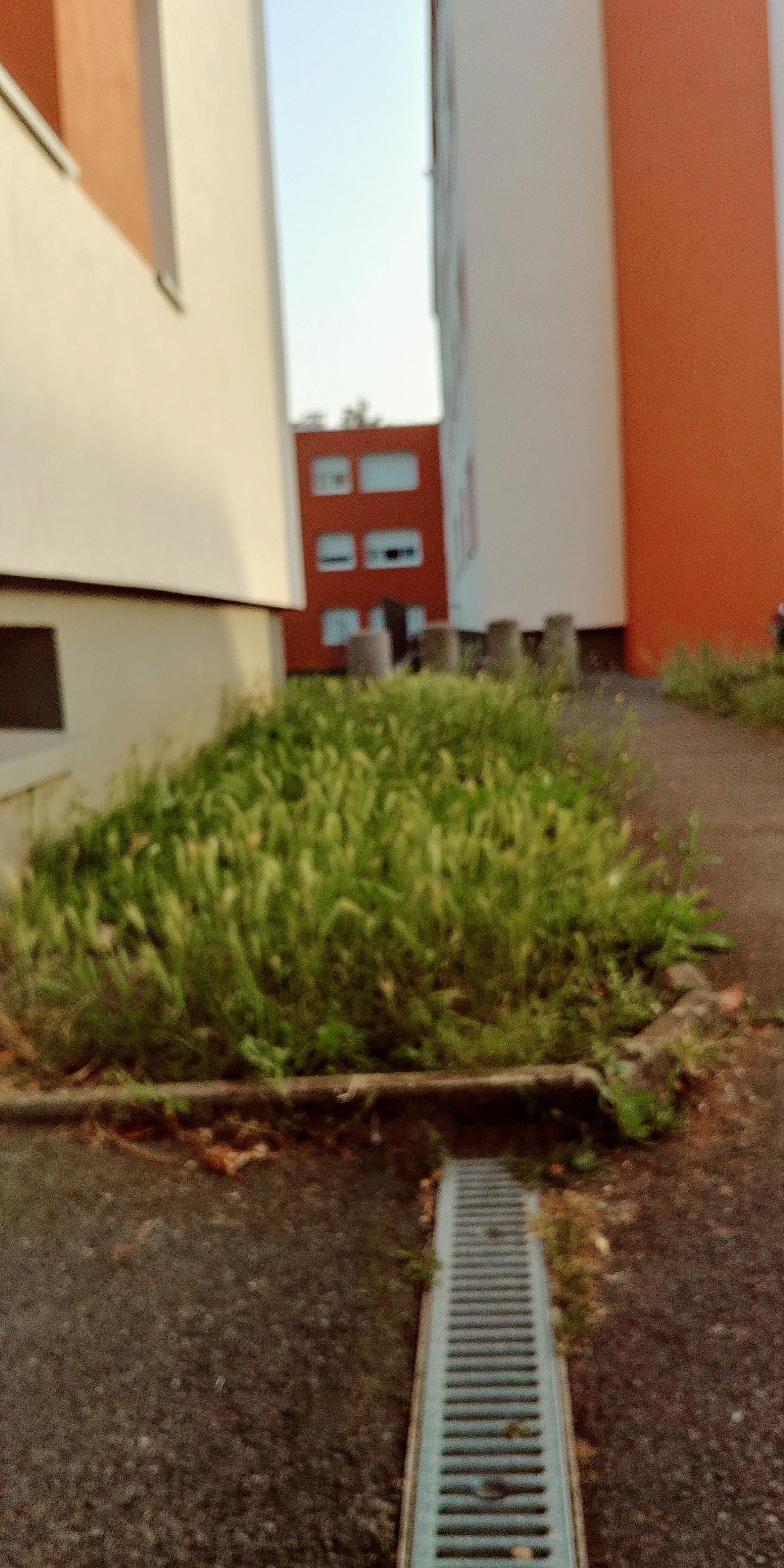Photo n° 2 de l'avis de christophe.a fait le 02/09/2019 à 12:50