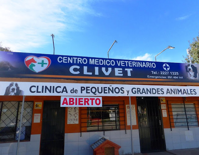 Centro Veterinario CLIVET - Veterinario