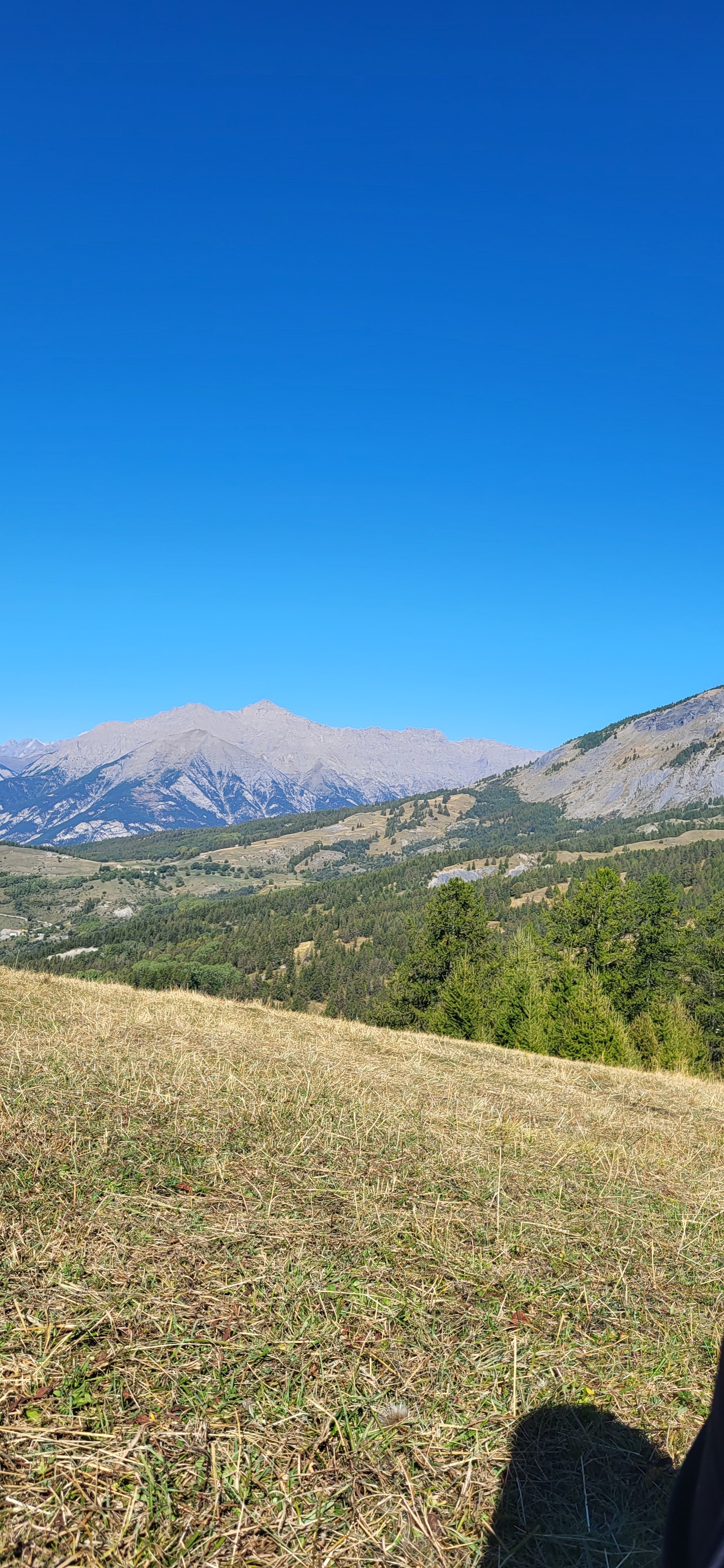 Photo n° 2 de l'avis de leslie. fait le 17/10/2023 à 13:17