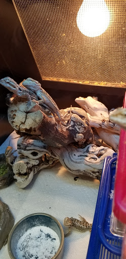 Pet Store «Fish Bowl», reviews and photos, 2117 E Race Ave, Searcy, AR 72143, USA