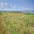 Gull Point Trail