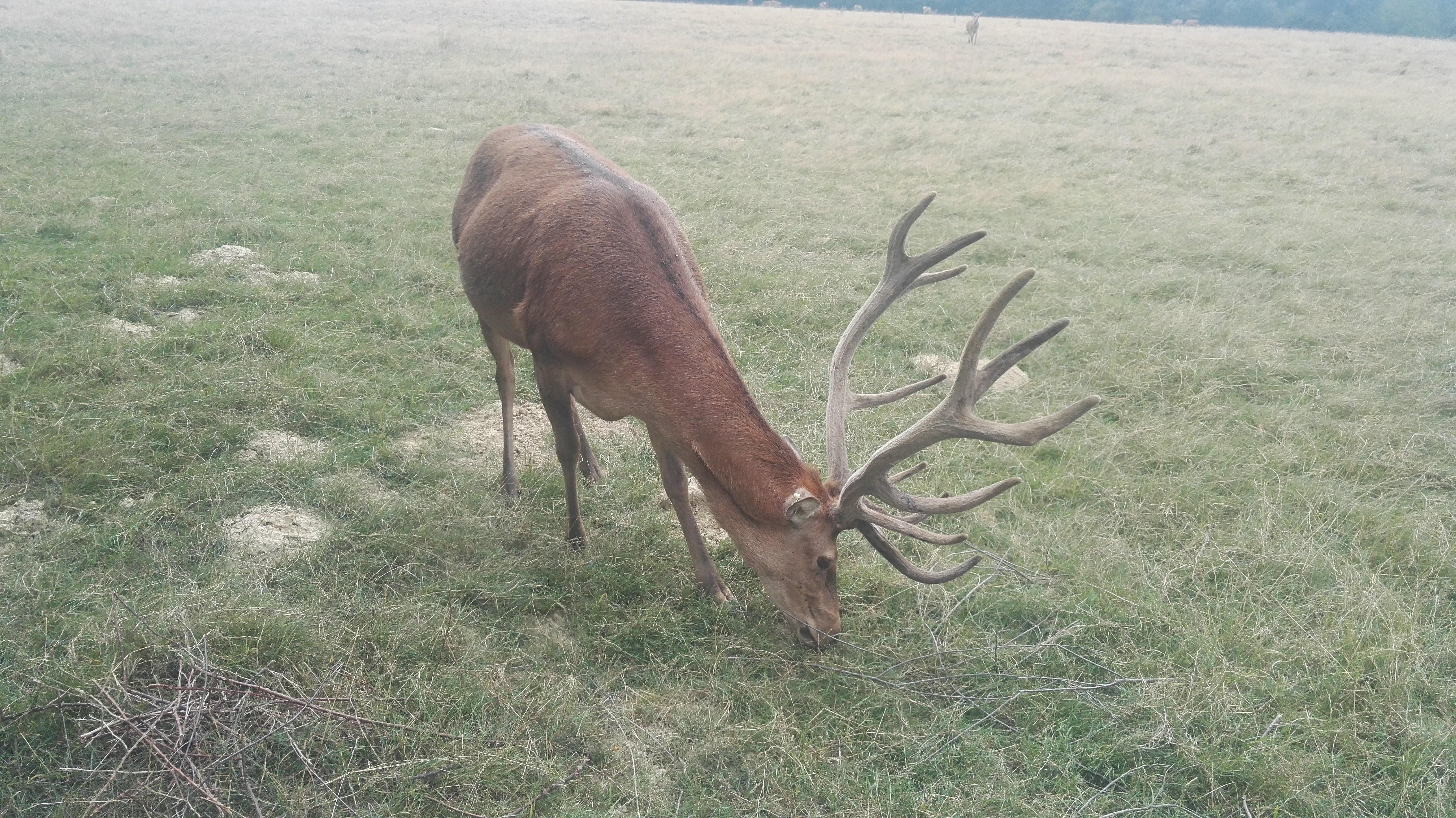 Photo n° 1 de l'avis de Lionel.t fait le 07/08/2018 à 16:59