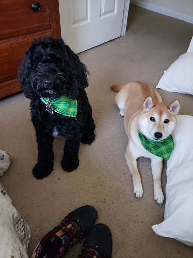 Pet Store «Muddy Paws», reviews and photos, 3700 Hampton Blvd, Norfolk, VA 23508, USA