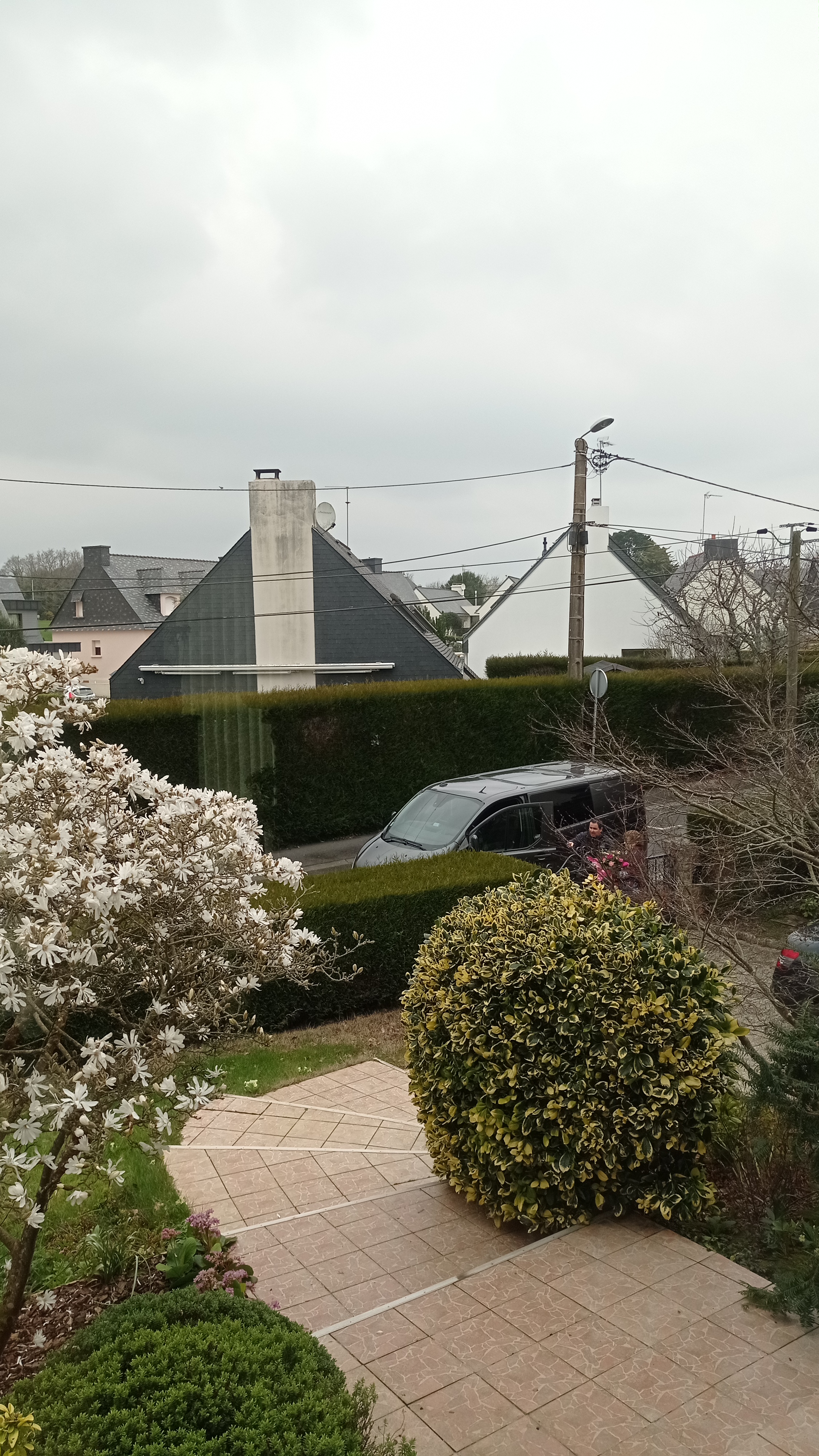 Photo n° 3 de l'avis de Domie.e fait le 06/03/2022 à 12:21