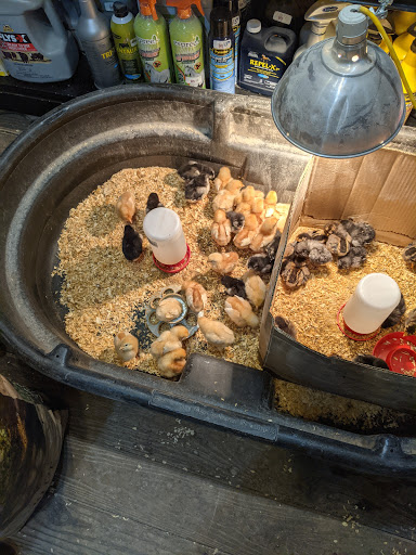 Livingston Feed and Seed