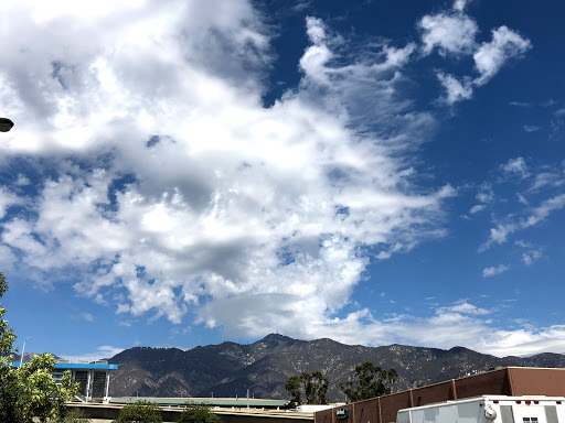 Hardware Store «Orchard Supply Hardware», reviews and photos, 3425 E Colorado Blvd, Pasadena, CA 91107, USA