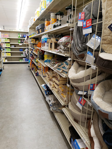 Discount Store «Big Lots», reviews and photos, 7723 Guilbeau Rd #110, San Antonio, TX 78250, USA