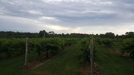 Vineyard «Stone Pillar Vineyard & Winery», reviews and photos, 11000 S Woodland St, Olathe, KS 66061, USA