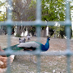 Photo n°5 de l'avis de Gigia.o fait le 24/04/2022 à 10:32 sur le  Agriturismo Olimpo à Villa Santa Maria