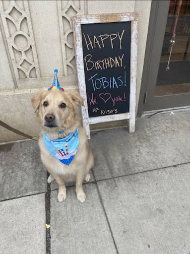 Pet Supply Store «Local Pet», reviews and photos, 415 Gettysburg St #1, Pittsburgh, PA 15206, USA