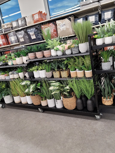 Discount Store «Big Lots», reviews and photos, 600 W 15th St, Plano, TX 75075, USA