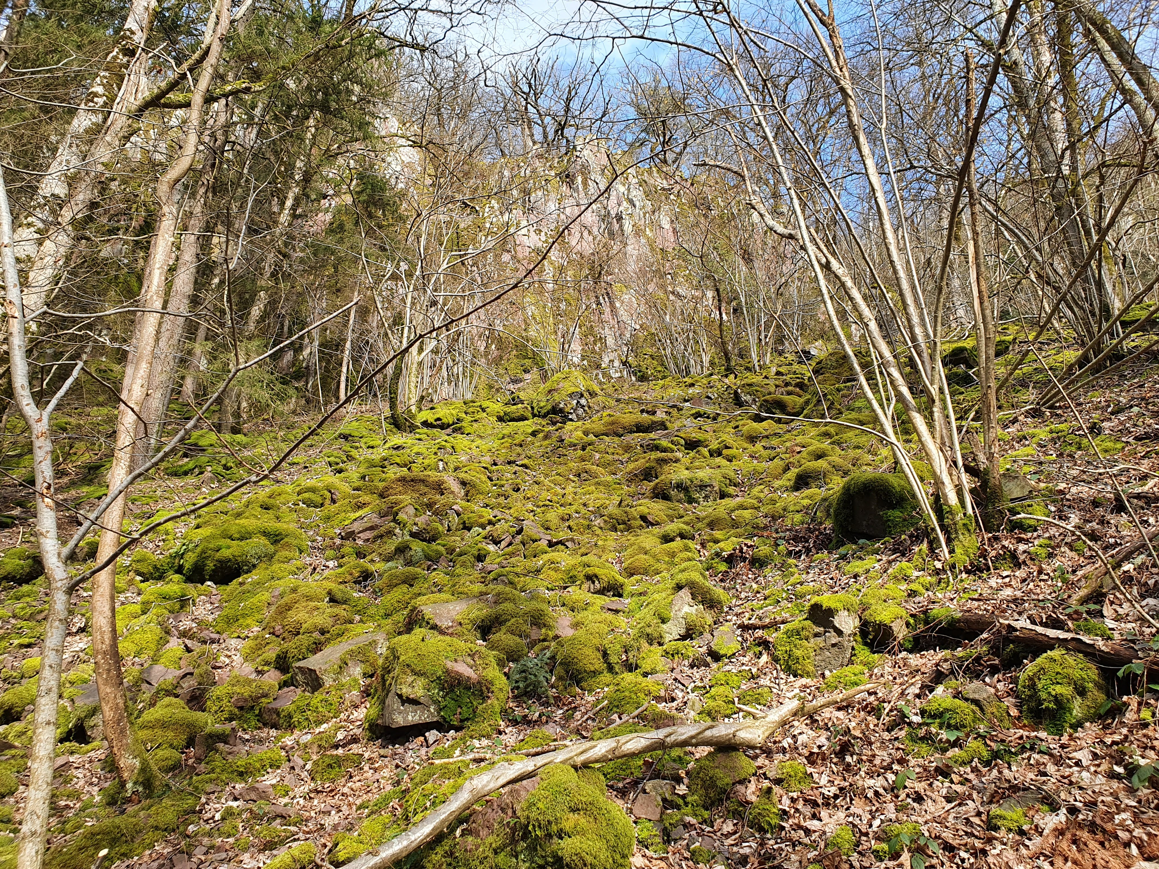 Photo n° 2 de l'avis de Alain.e fait le 23/02/2020 à 16:49