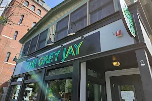The Grey Jay image