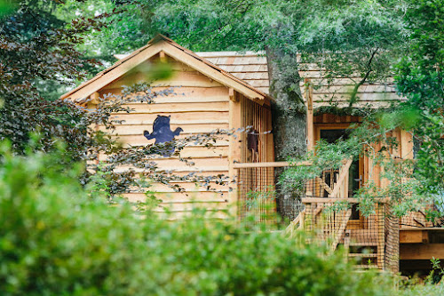 attractions Les cabanes dans les arbres du Temps Suspendu - Château de Laàs Laas