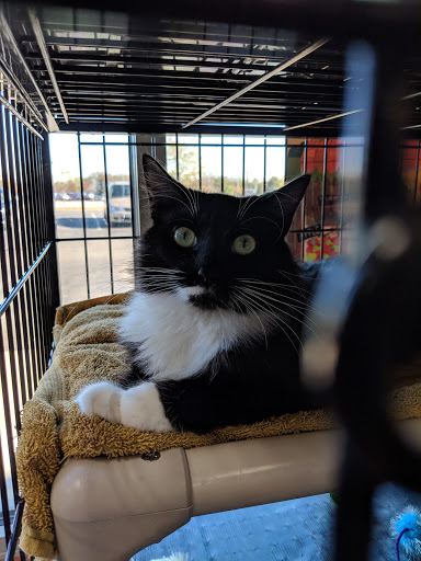 Pet Supply Store «Pet Valu», reviews and photos, 1525 Genntown Dr, Lebanon, OH 45036, USA