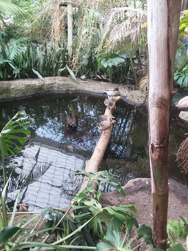 Golf Course «A.H. Blank Golf Course», reviews and photos, 808 County Line Rd, Des Moines, IA 50320, USA